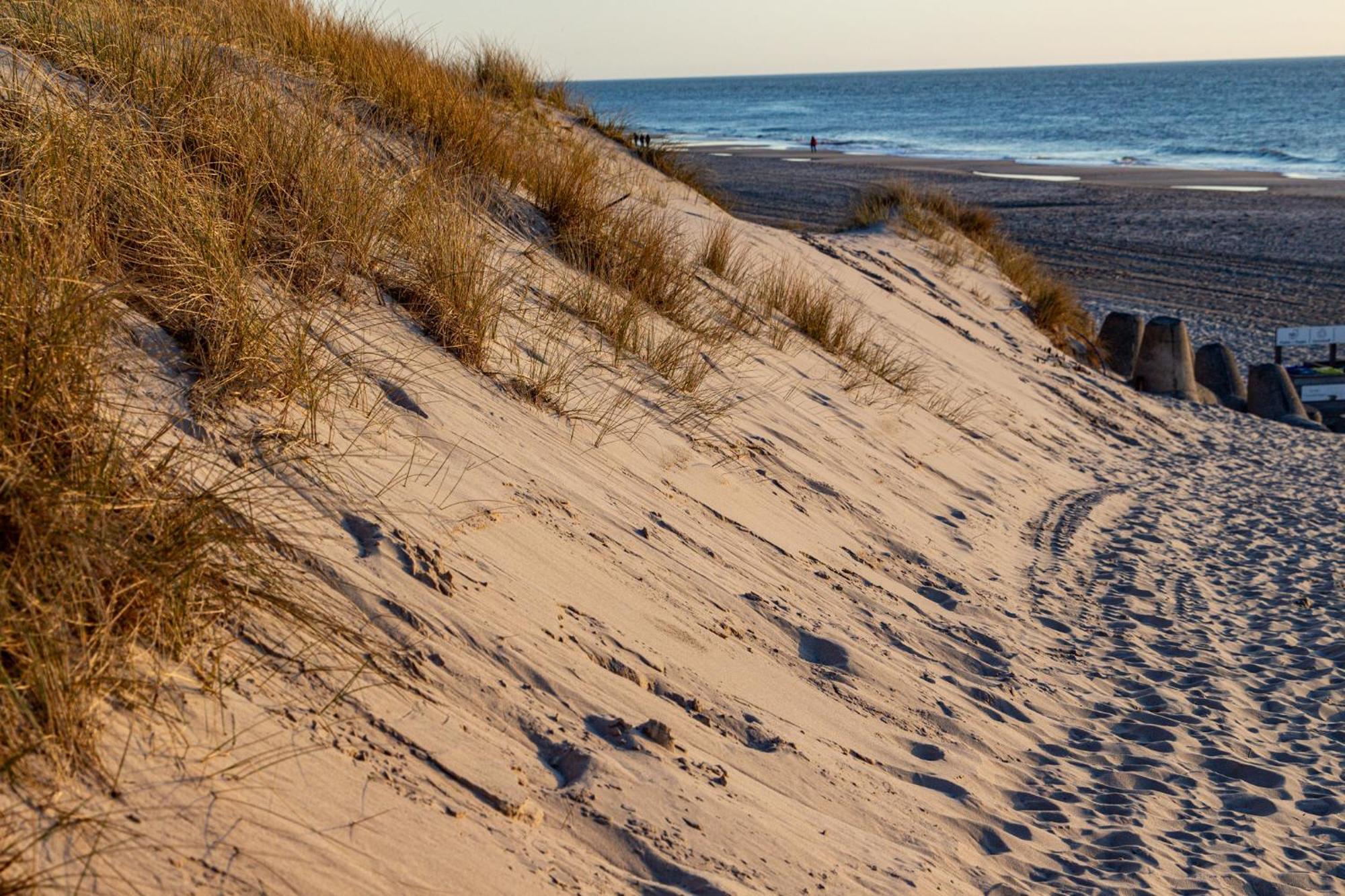Schickes Sylt In Mit Garten Nahe *